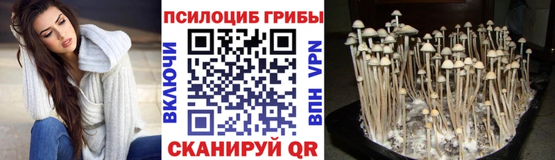 Купить закладки  Георгиевск  Галлюциногенные грибы мухоморы 